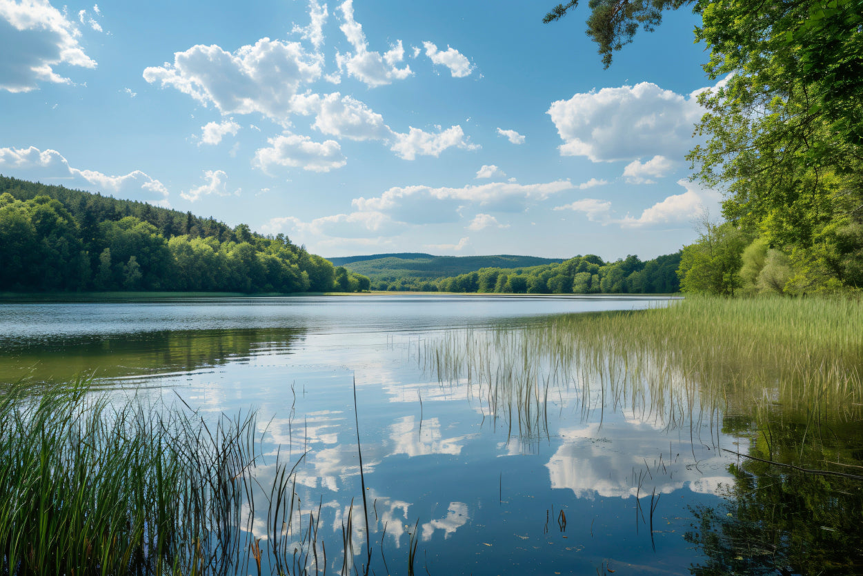 Lake Surrounded By Trees with Sky Home Decor Premium Quality Poster Print Choose Your Sizes