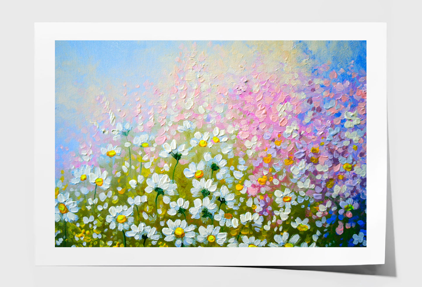 White Flowers Oil Painting Wall Art Limited Edition High Quality Print Unframed Roll Canvas None