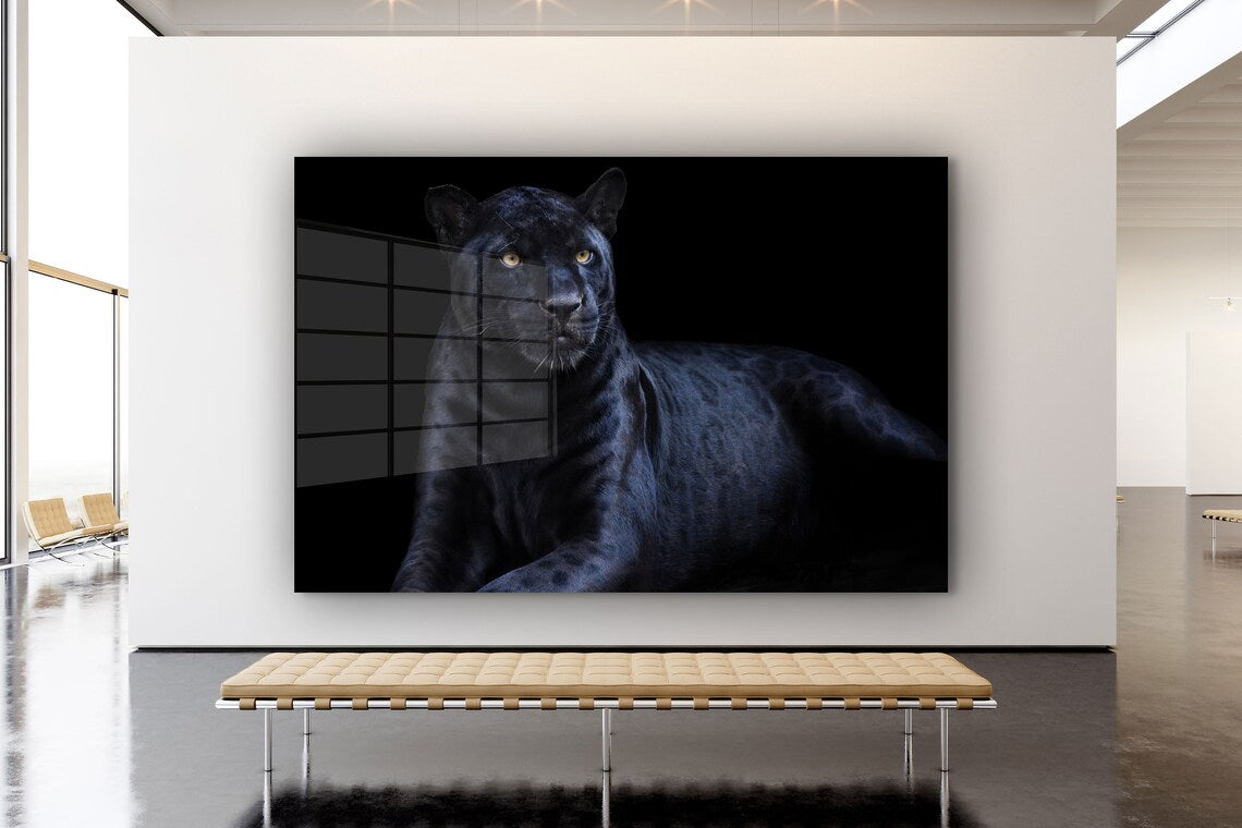 Black Panther Closeup UV Direct Aluminum Print Australian Made Quality