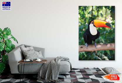 Largest And Best-Known Toucan Species Wall Art Decor 100% Australian Made