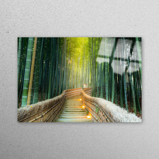 Tree Walking Path Acrylic Glass Print Tempered Glass Wall Art 100% Made in Australia Ready to Hang