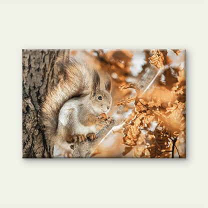 Autumn Squirrel Golden Fall Leaves Rustic Woodland Animal Wall Art Decor 100% Australian Made