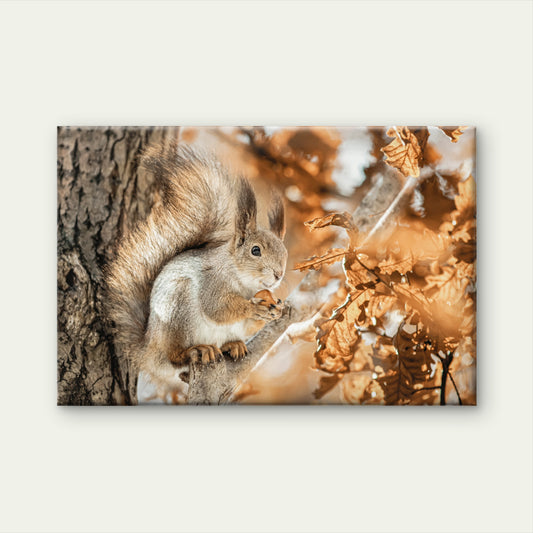 Autumn Squirrel Golden Fall Leaves Rustic Woodland Animal Wall Art Decor 100% Australian Made