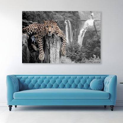 Tiger Blue Eyes Acrylic Glass Print Tempered Glass Wall Art 100% Made in Australia Ready to Hang