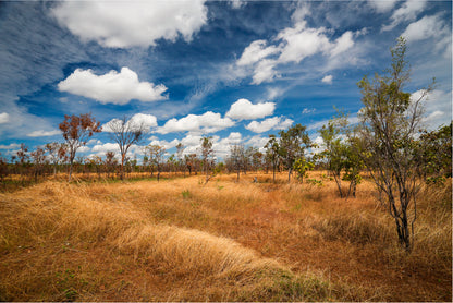 Kakadu National Park Australia Home Decor Premium Quality Poster Print Choose Your Sizes