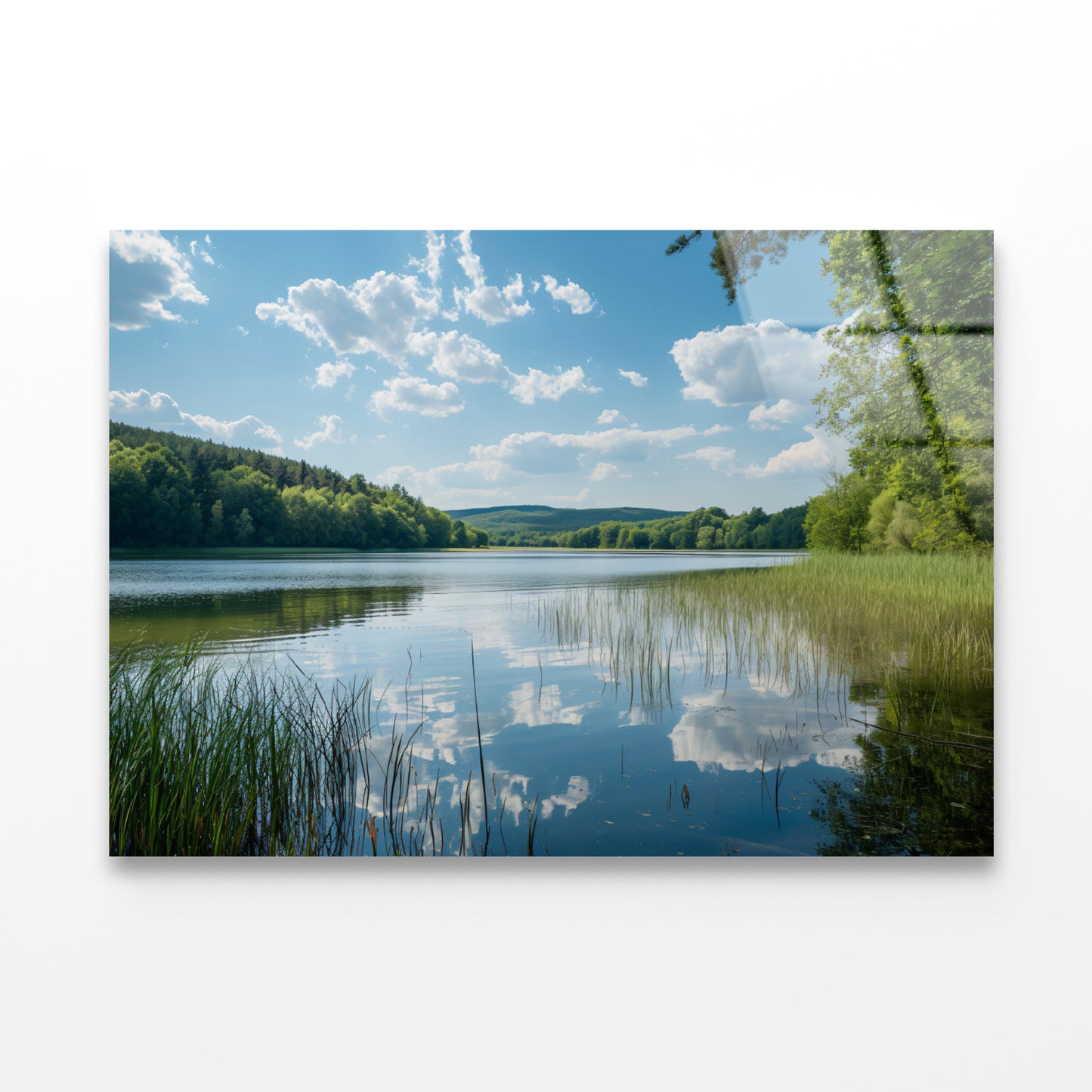 Lake Surrounded By Trees with Sky Acrylic Glass Print Tempered Glass Wall Art 100% Made in Australia Ready to Hang