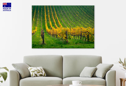 Adelaide Hills Vineyard South Australia all Art Decor 100% Australian Made