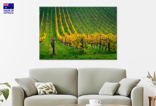 Adelaide Hills Vineyard South Australia all Art Decor 100% Australian Made