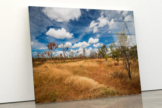 Kakadu National Park Australia Acrylic Glass Print Tempered Glass Wall Art 100% Made in Australia Ready to Hang