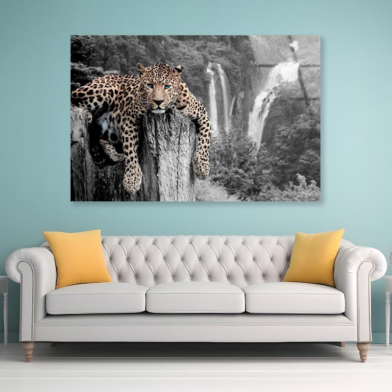 Tiger Blue Eyes Acrylic Glass Print Tempered Glass Wall Art 100% Made in Australia Ready to Hang