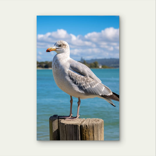 Seagull Bird Standing Wooden Post Ocean 40x60cm Metal Print Ready to Hang