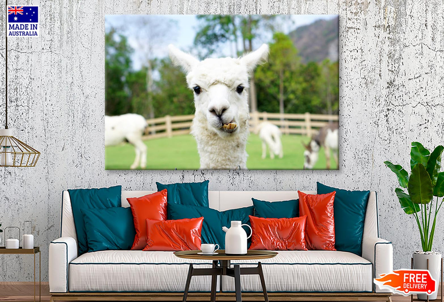 Close Up of White Alpaca  Wall Art Decor 100% Australian Made