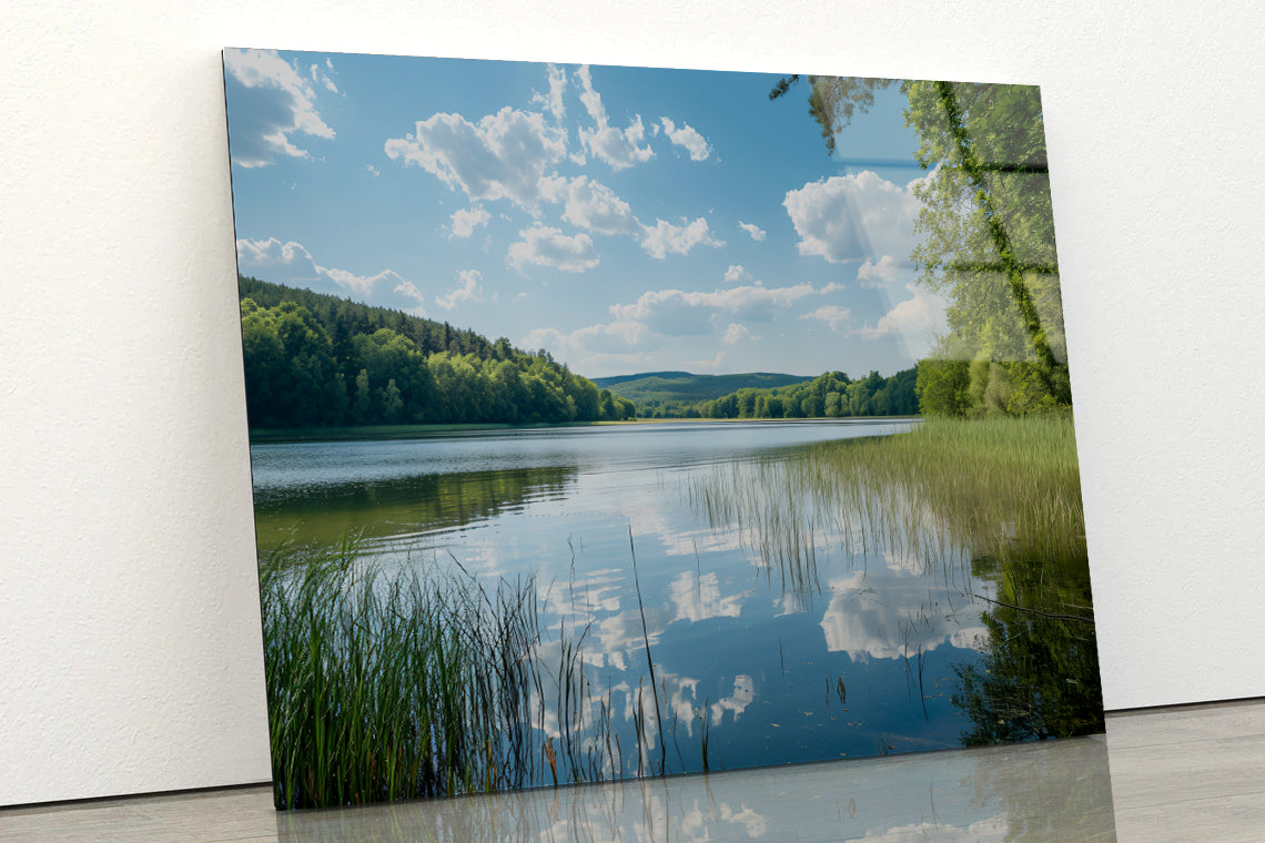 Lake Surrounded By Trees with Sky Acrylic Glass Print Tempered Glass Wall Art 100% Made in Australia Ready to Hang