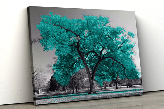 Large Teal tree set in a black and white park UV Direct Aluminum Print Australian Made Quality