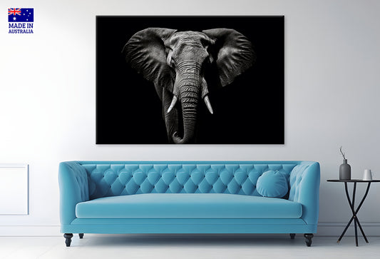 Elephant Isolated on Black Portrait Wildlife Animal Wall Art Decor 100% Australian Made