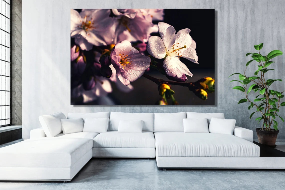 Cherry Blossom Flower Acrylic Glass Print Tempered Glass Wall Art 100% Made in Australia Ready to Hang