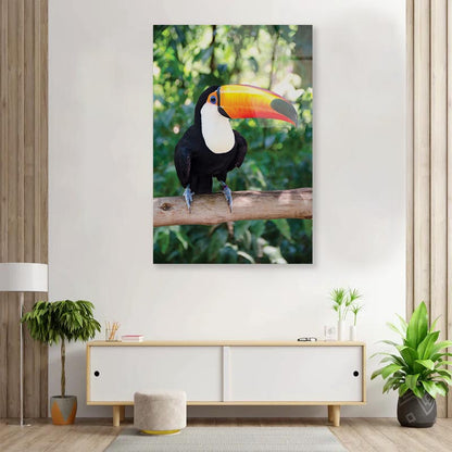 Largest And Best-Known Toucan Species Portrait Photograph Acrylic Glass Print Tempered Glass Wall Art 100% Made in Australia Ready to Hang