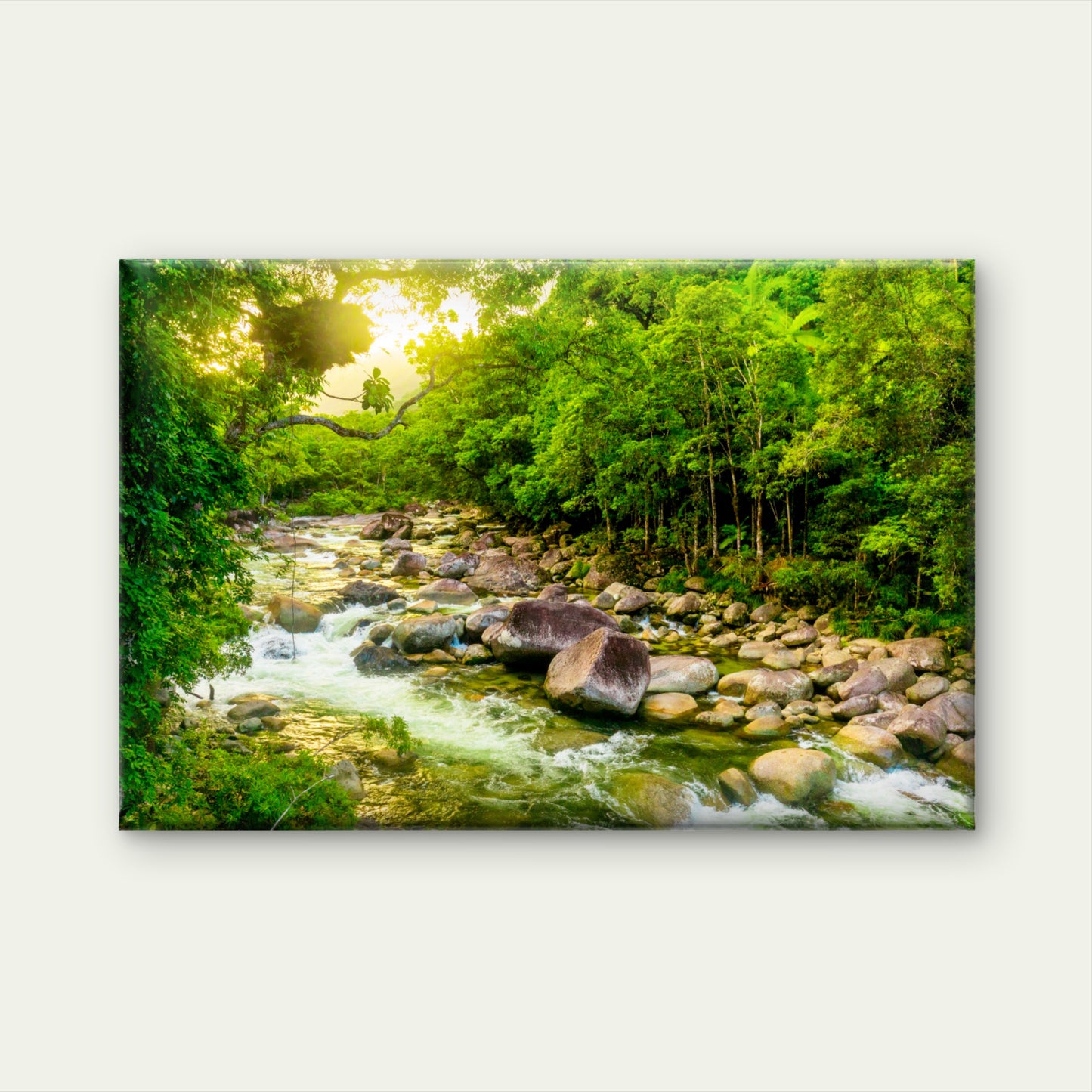 Mossman Gorge River Daintree National Park Australia Wall Art Decor 100% Australian Made
