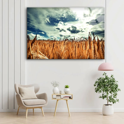 Wheat Field & Sky View UV Direct Aluminum Print Australian Made Quality