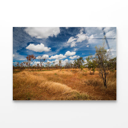 Kakadu National Park Australia Acrylic Glass Print Tempered Glass Wall Art 100% Made in Australia Ready to Hang