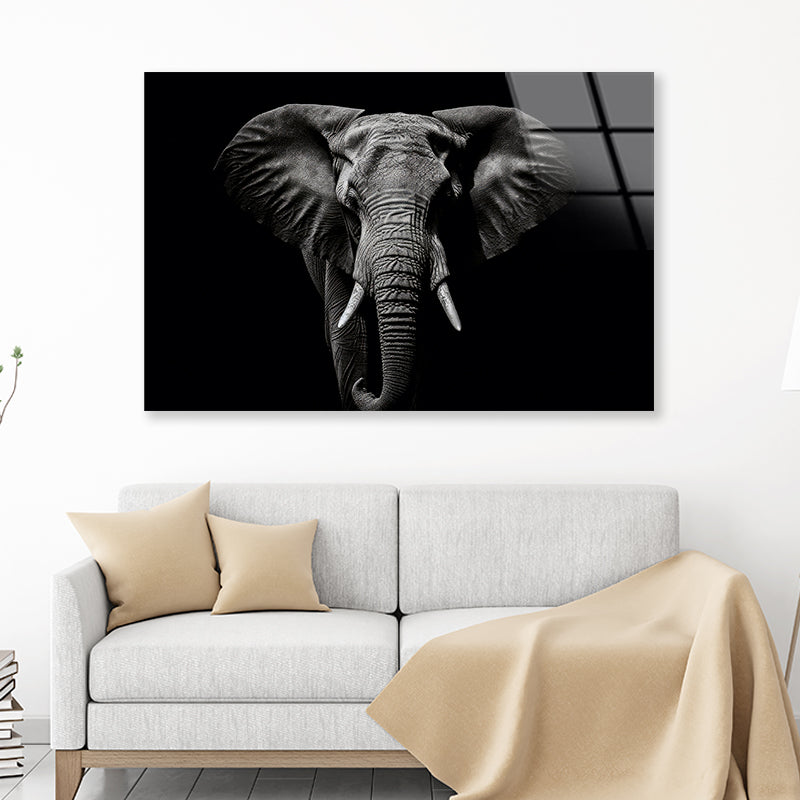 Elephant Isolated on Black Portrait Wildlife Animal Acrylic Glass Print Tempered Glass Wall Art 100% Made in Australia Ready to Hang