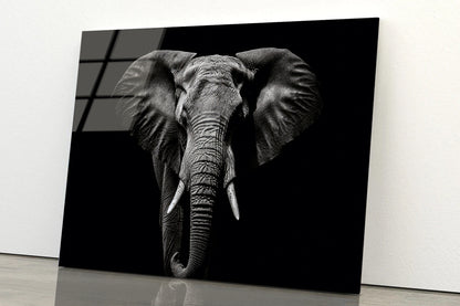 Elephant Isolated on Black Portrait Wildlife Animal Acrylic Glass Print Tempered Glass Wall Art 100% Made in Australia Ready to Hang