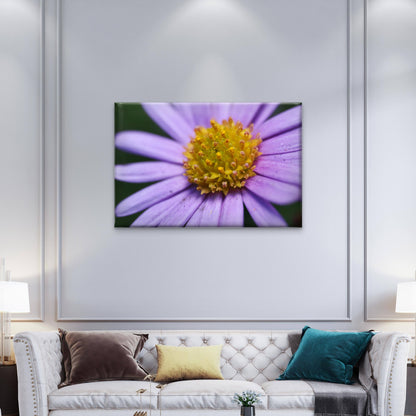 Australian Native Brachyscome Daisy Wall Art Decor 100% Australian Made