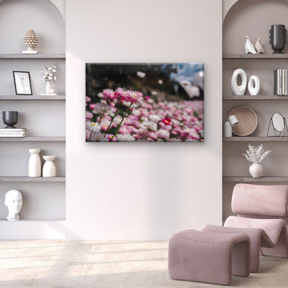 Vibrant Australian Paper Daisies in Bloom Wall Art Decor 100% Australian Made