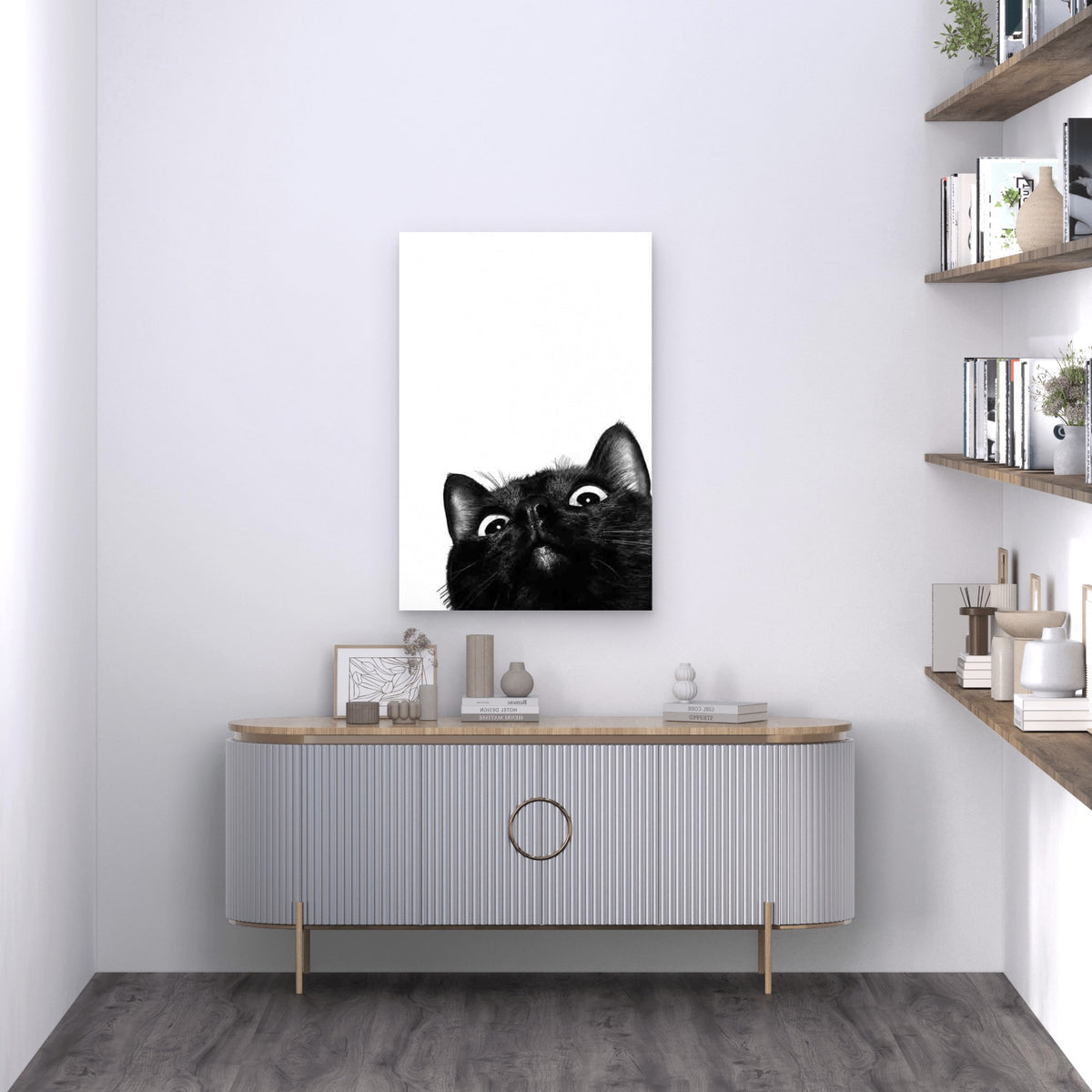 Playful Black Cat On White Background 60x90cm Metal Print Ready to Hang