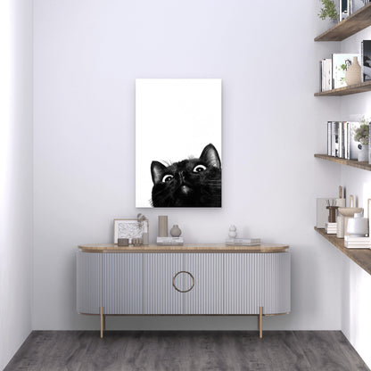 Playful Black Cat On White Background 60x90cm Metal Print Ready to Hang