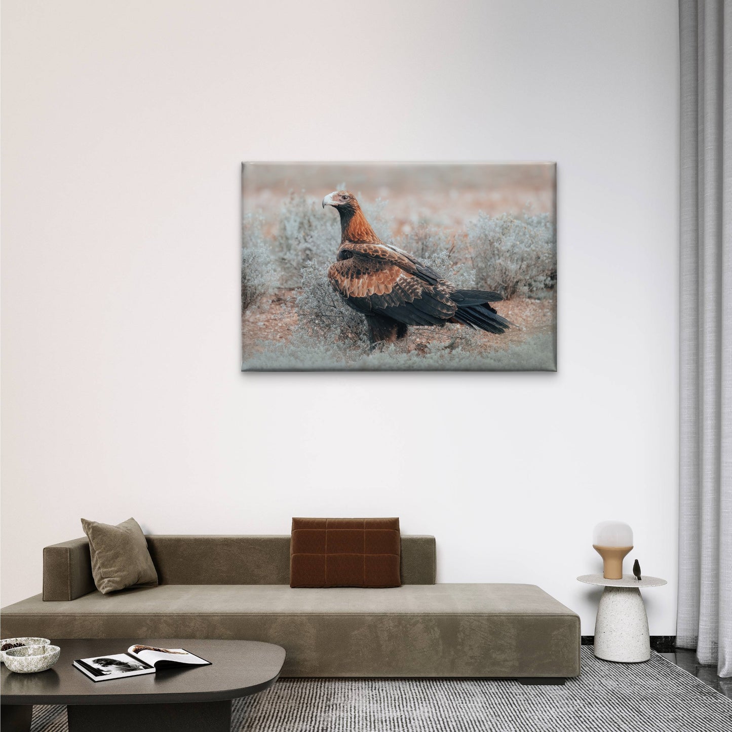 Wedge Tailed Eagle Australia Portrait Wall Art Decor 100% Australian Made