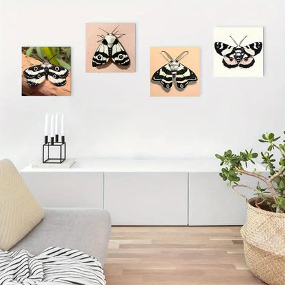 4pcs Black & White Moth Canvas Art Prints Wall Art Canvas Framed
