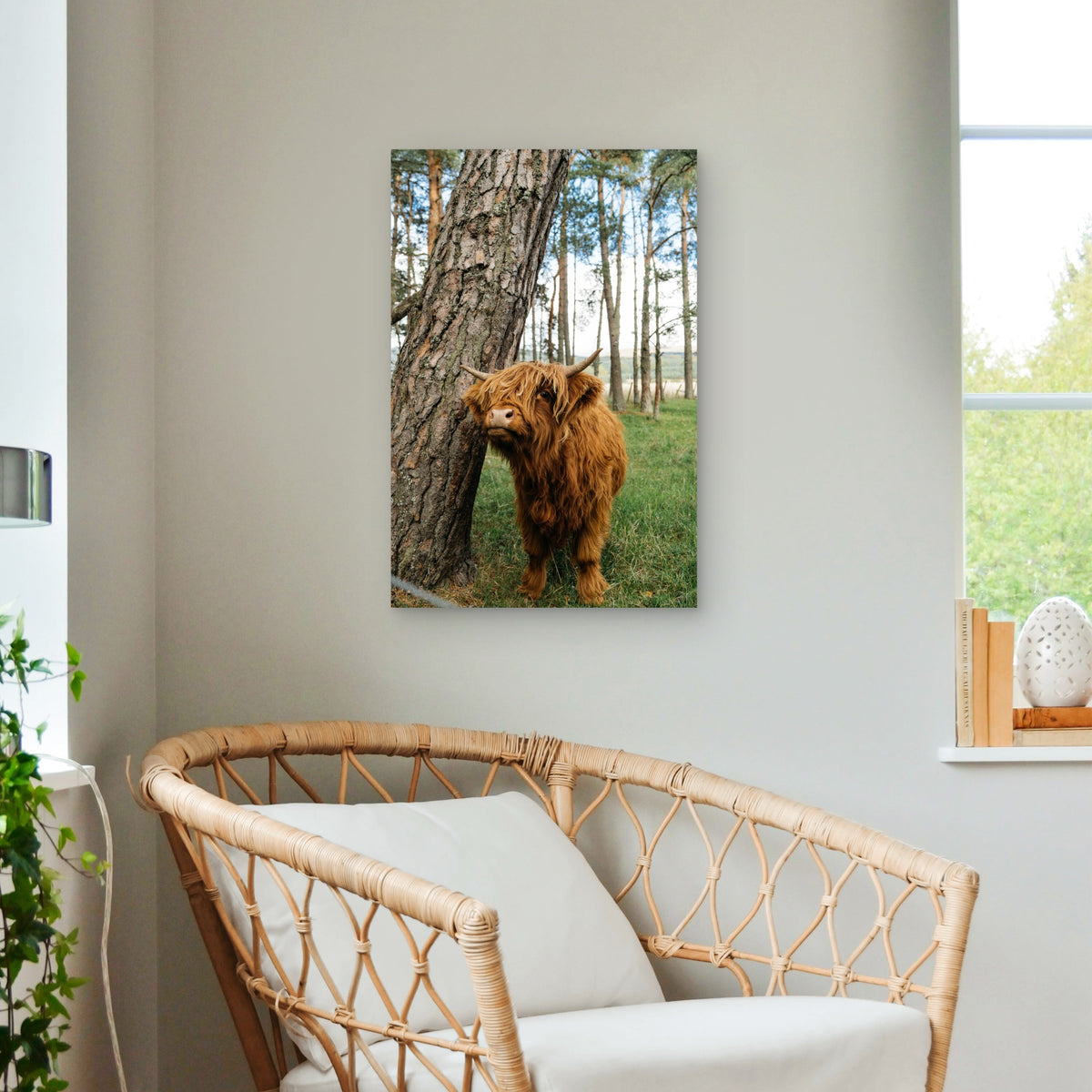 Highland Cow Near Tree 40x60cm Metal Print Ready to Hang