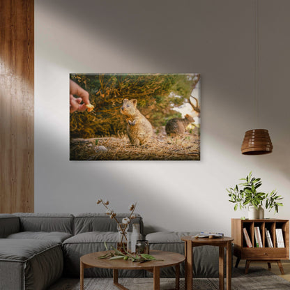 Quokka Western Australia Nature Wall Art Decor 100% Australian Made
