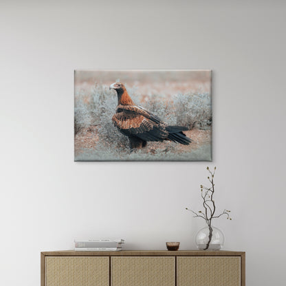Wedge Tailed Eagle Australia Portrait Wall Art Decor 100% Australian Made