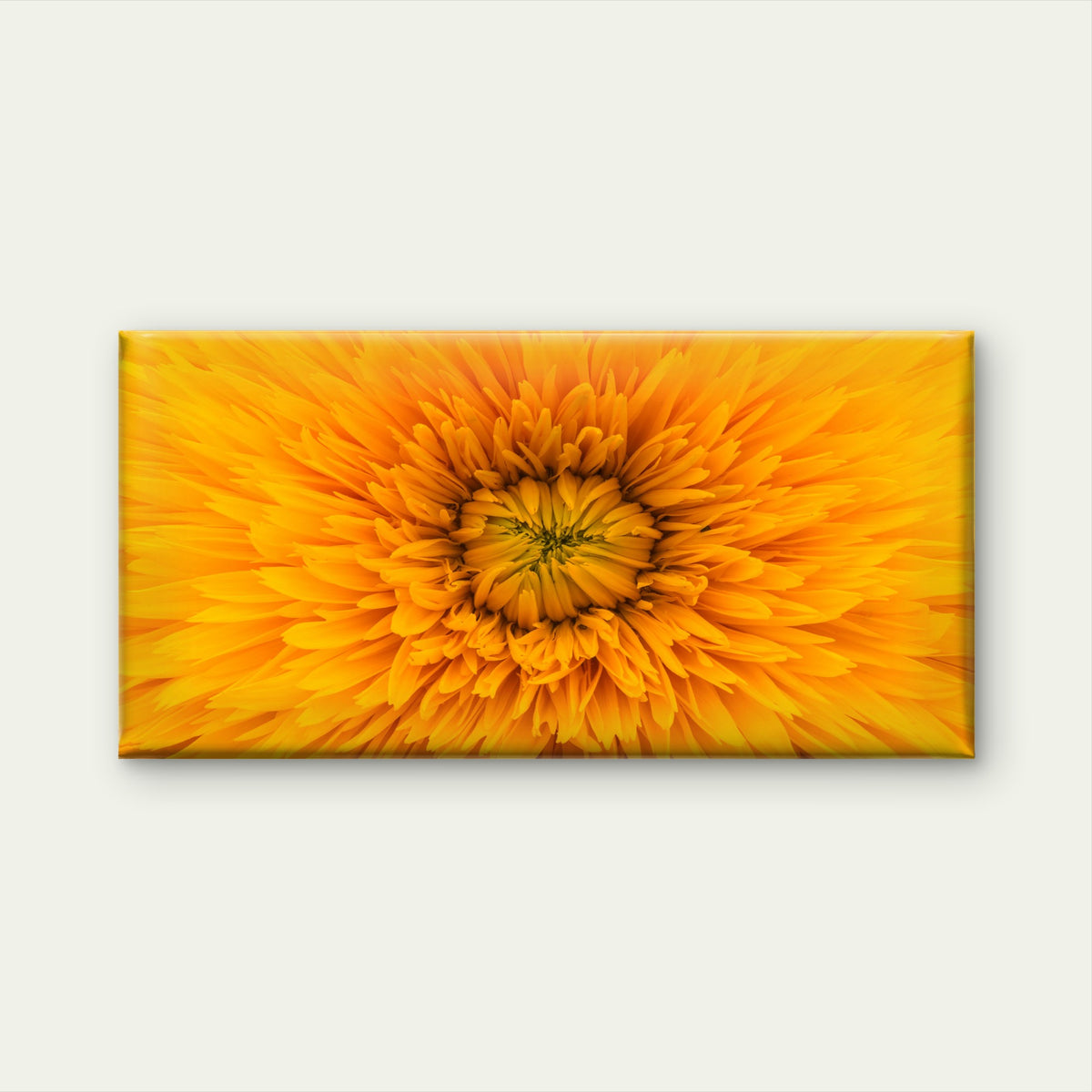 Vibrant Yellow Flower Bloom Wall Art Canvas Office Home Room Framed 120x60cm