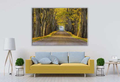 Yellow Trees and road Nature 90x60cm Print 100% Australian Made