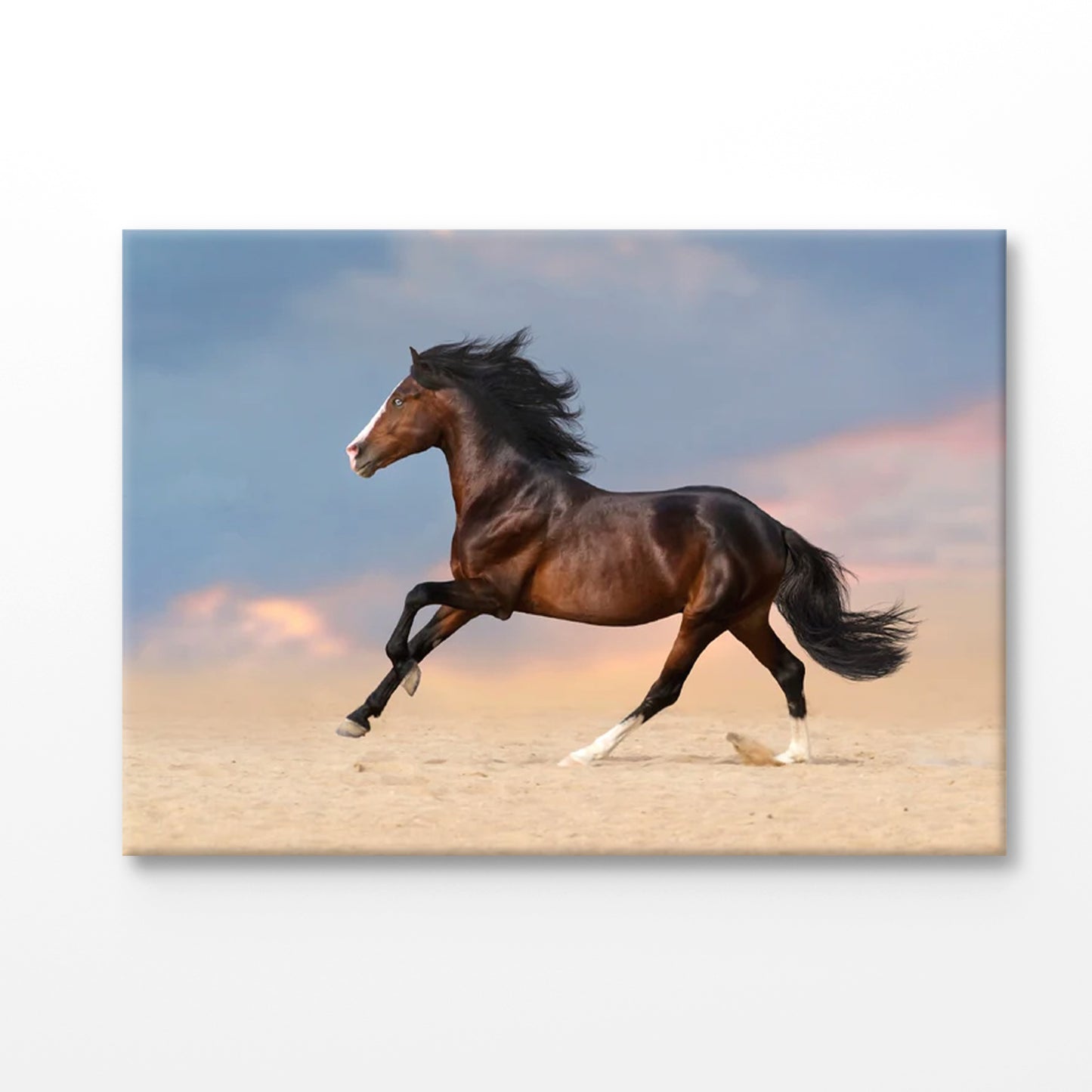 Bella Home Running Horse on Desert With Dust Print Canvas Ready to hang