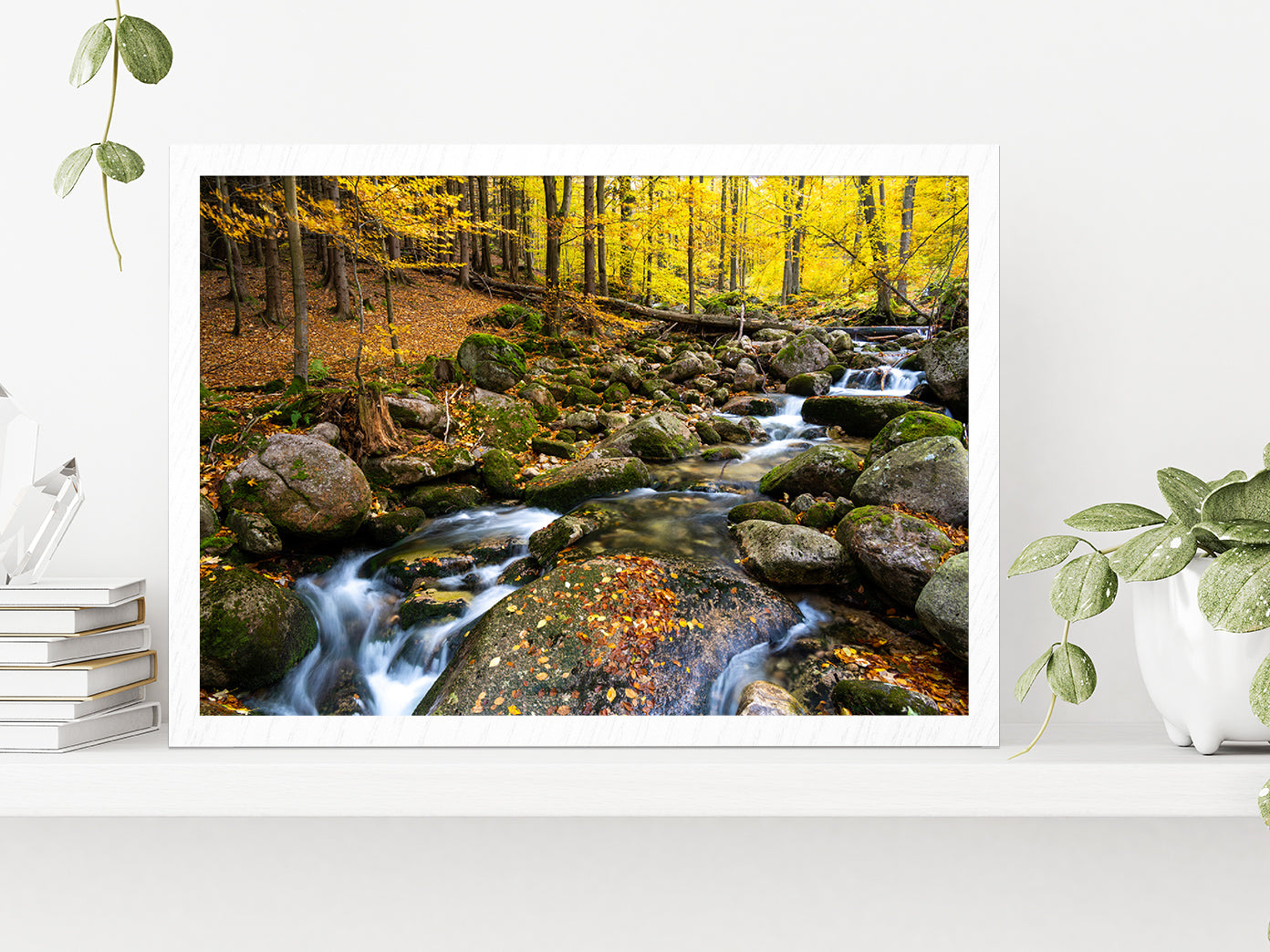 Autumn Forest With Rocky River Glass Framed Wall Art, Ready to Hang Quality Print Without White Border White