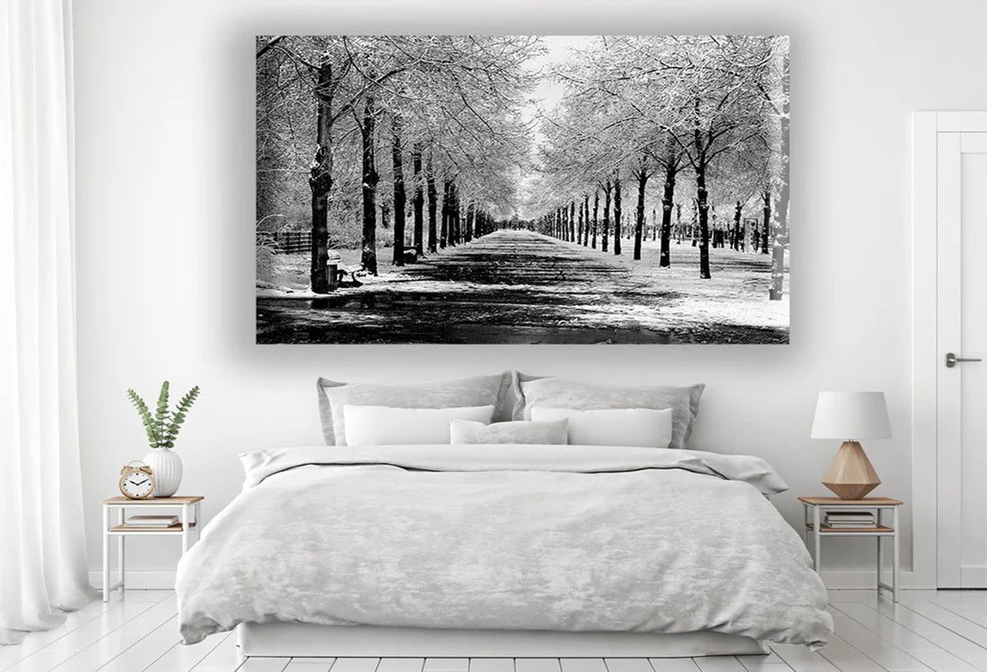 Black and white Trees Watercolor Artistic Nature 90x60cm Print 100% Australian Made