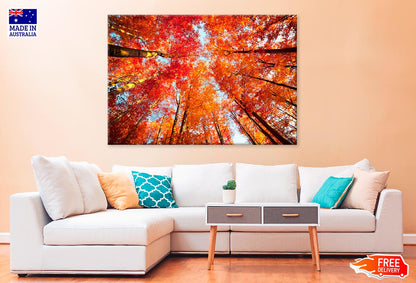 Trees In The Autumn Forest Print 100% Australian Made