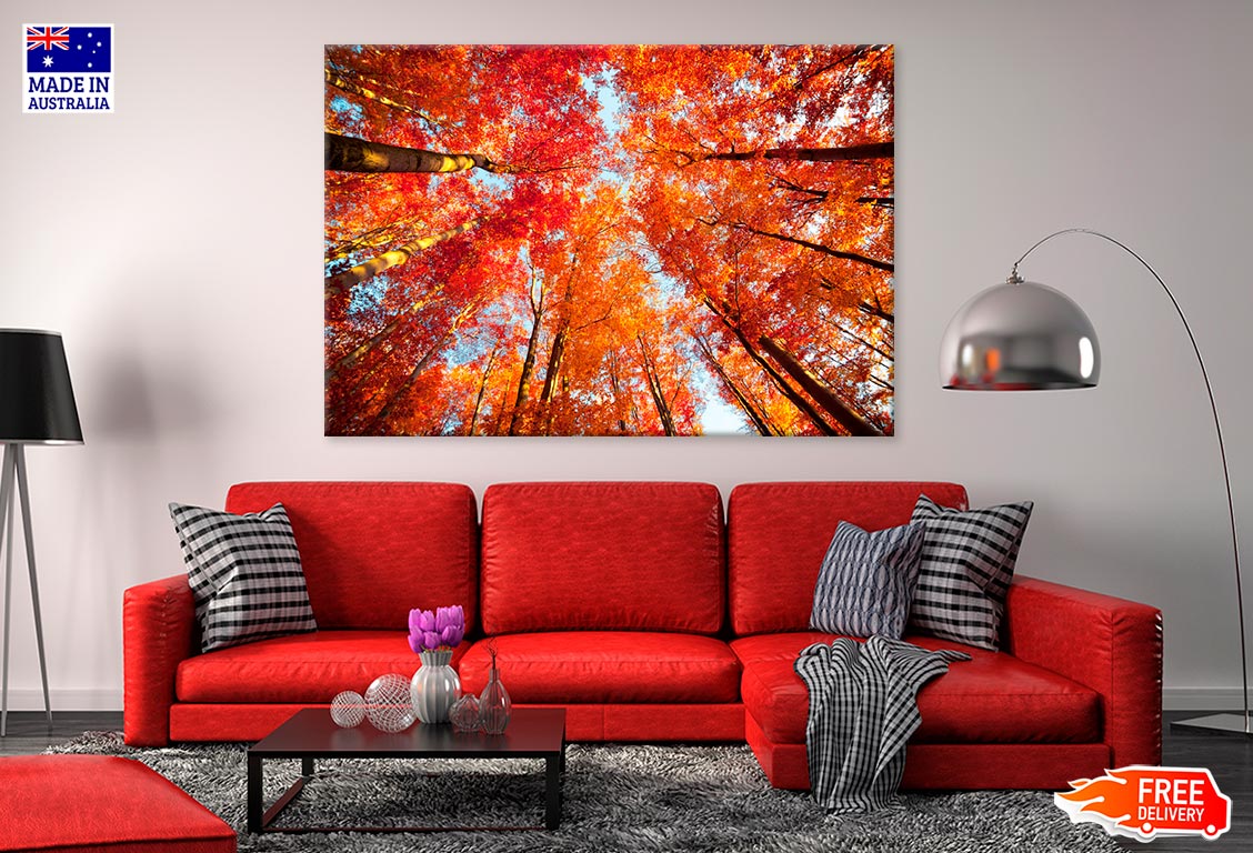 Trees In The Autumn Forest Print 100% Australian Made