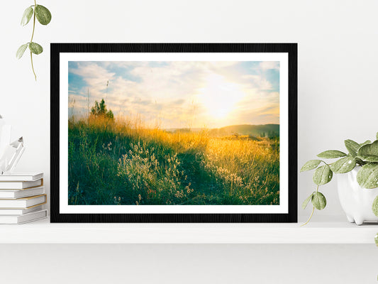 Blooming Wild Grass In Nature Glass Framed Wall Art, Ready to Hang Quality Print With White Border Black