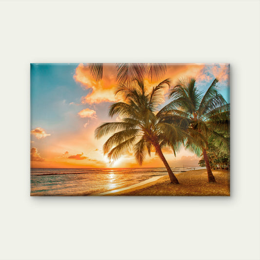 Golden Sunset Palm Beach Wall Art Decor 100% Australian Made
