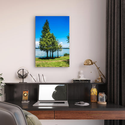 Tree With Lake 40x60cm Metal Print Ready to Hang
