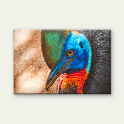 Cassowary Bird Portrait Wall Art Decor 100% Australian Made