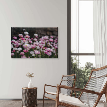 Colourful Australian Paper Daisy Flowers Wall Art Decor 100% Australian Made