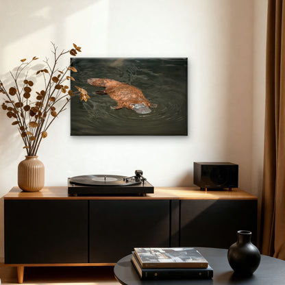 Platypus Eastern Australia Wall Art Decor 100% Australian Made