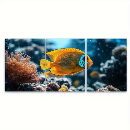3pcs Coral Reef Fish Underwater Photography Metal Print Ready to Hang Art