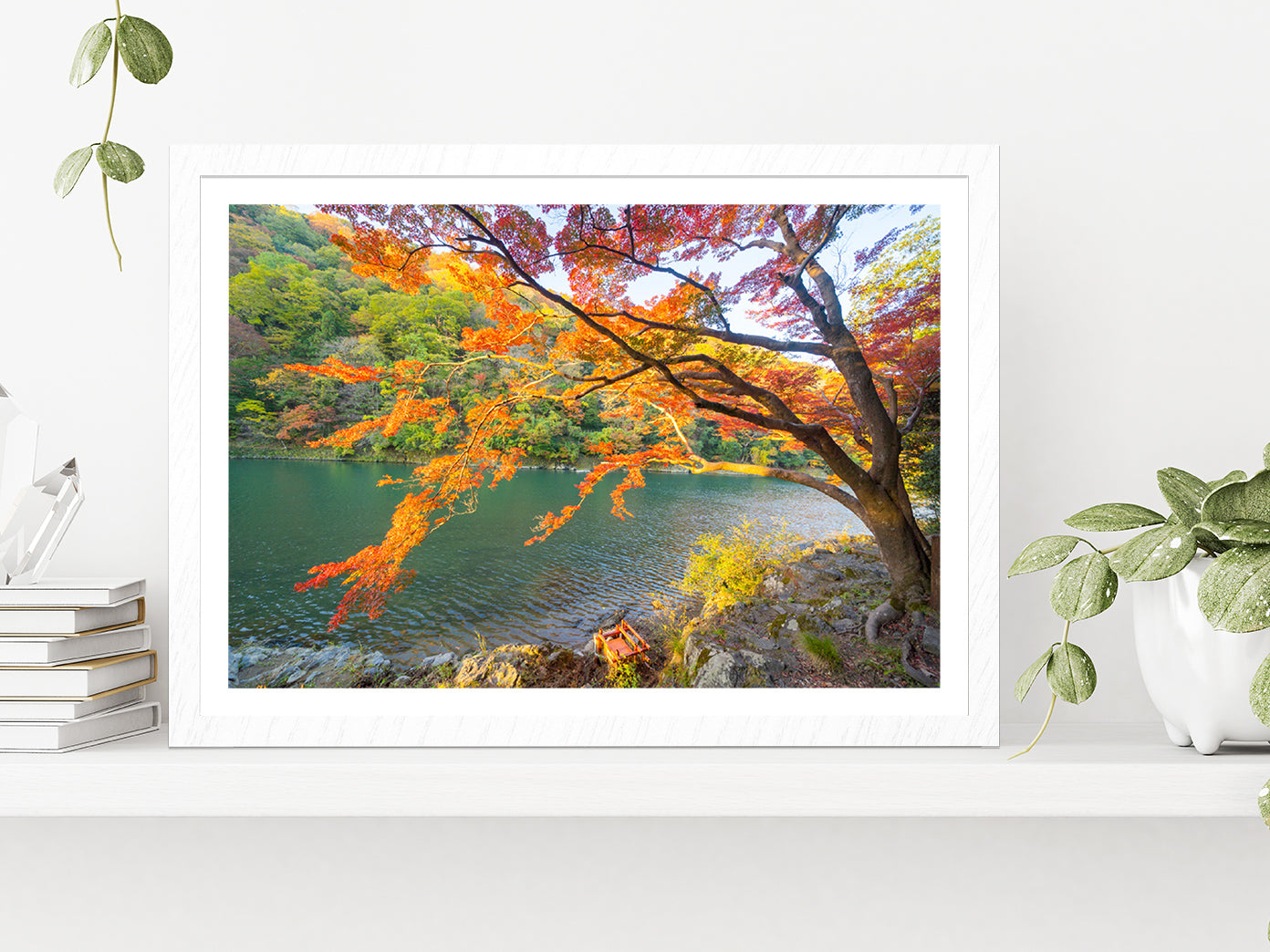 Autumn Forest & Arashiyama River Glass Framed Wall Art, Ready to Hang Quality Print With White Border White